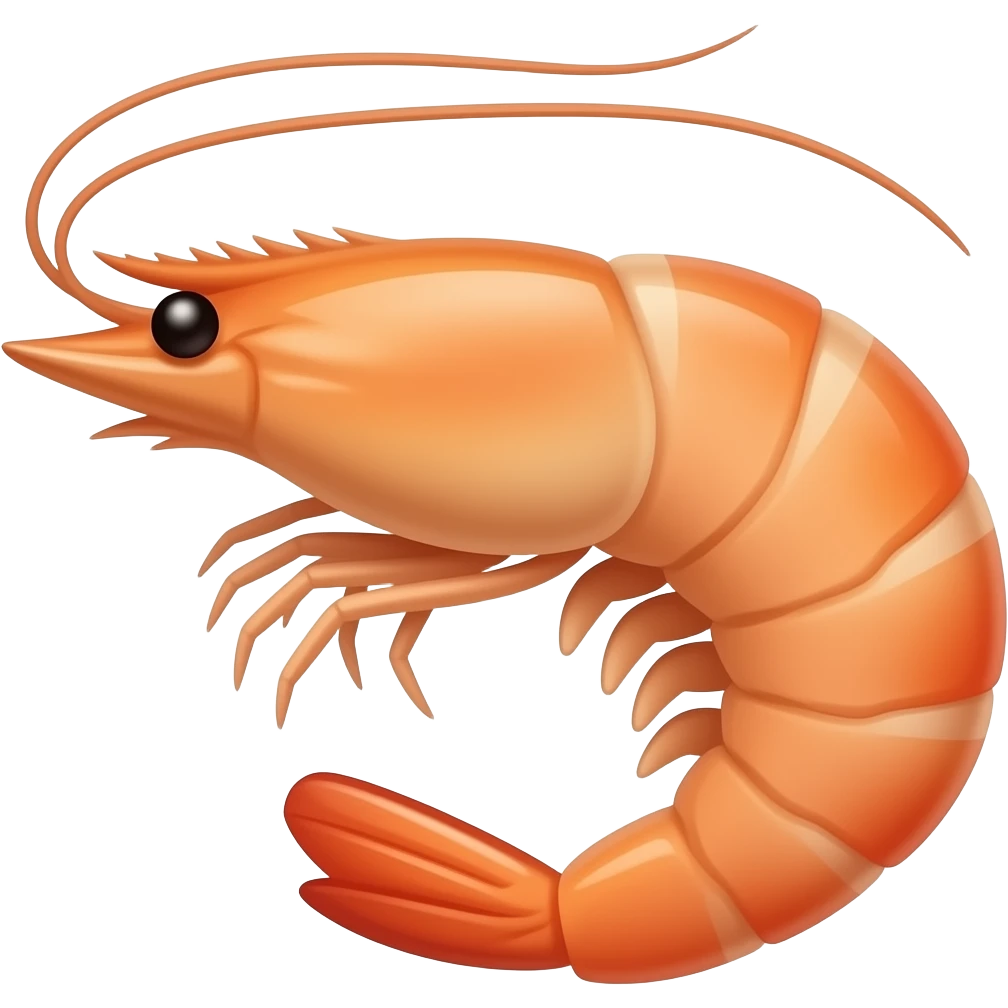 Cute Shrimp emoji