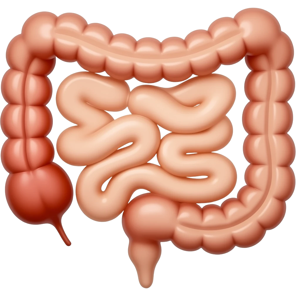 gut emoji