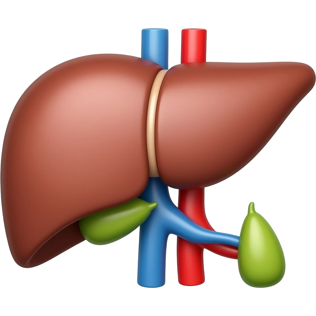 Liver emoji