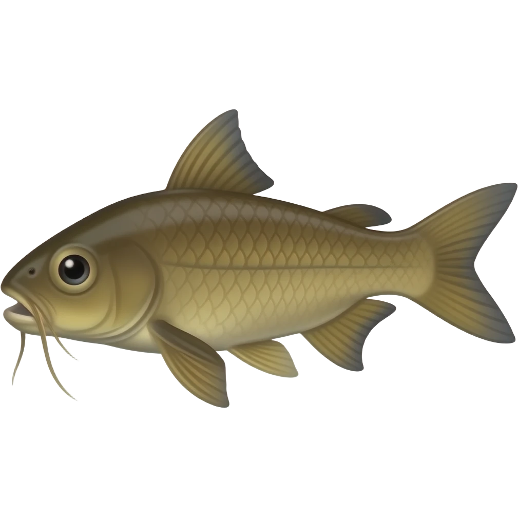 cat fish emoji
