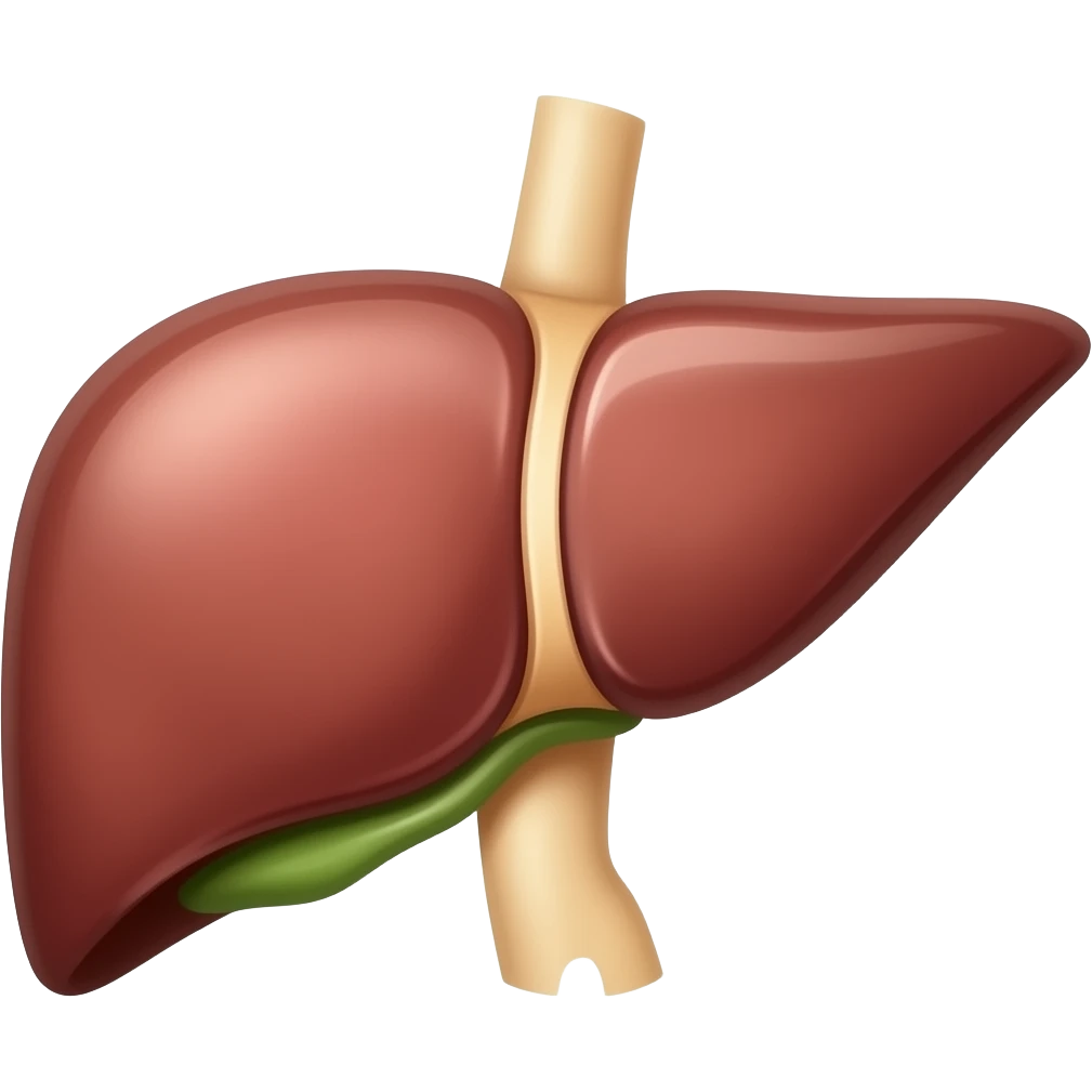 liver emoji