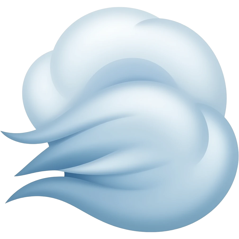 💨 emoji