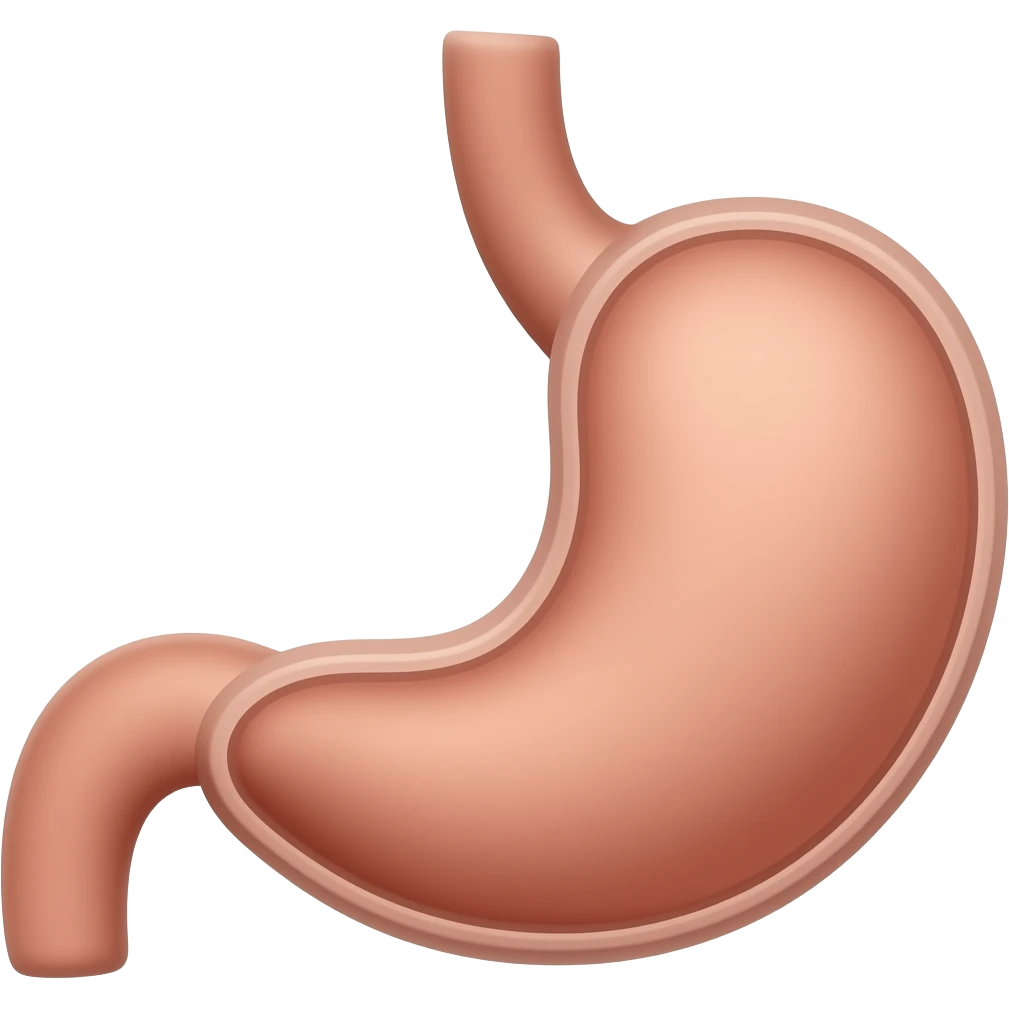 Stomach emoji