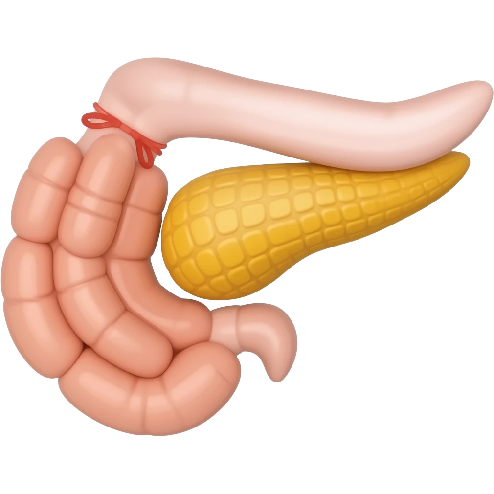Pancreas emoji