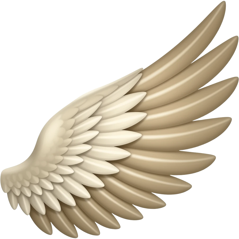wings emoji
