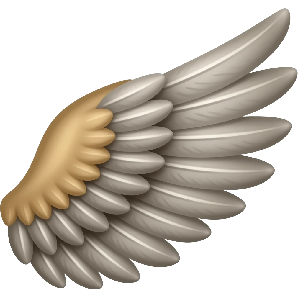 Wings left emoji