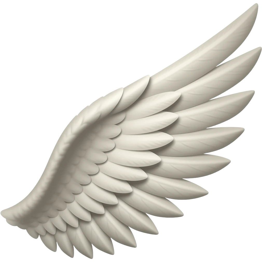 wing emoji