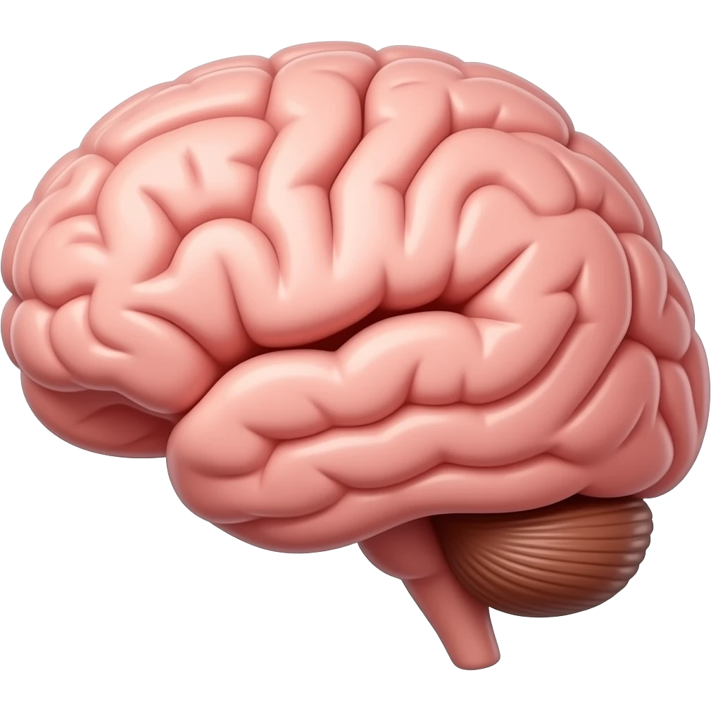 front view brain looking emoji