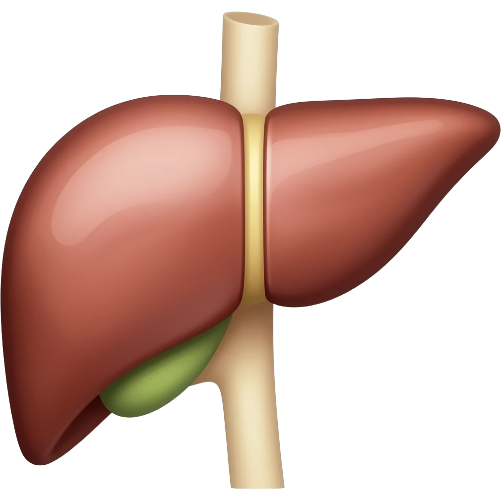 liver emoji
