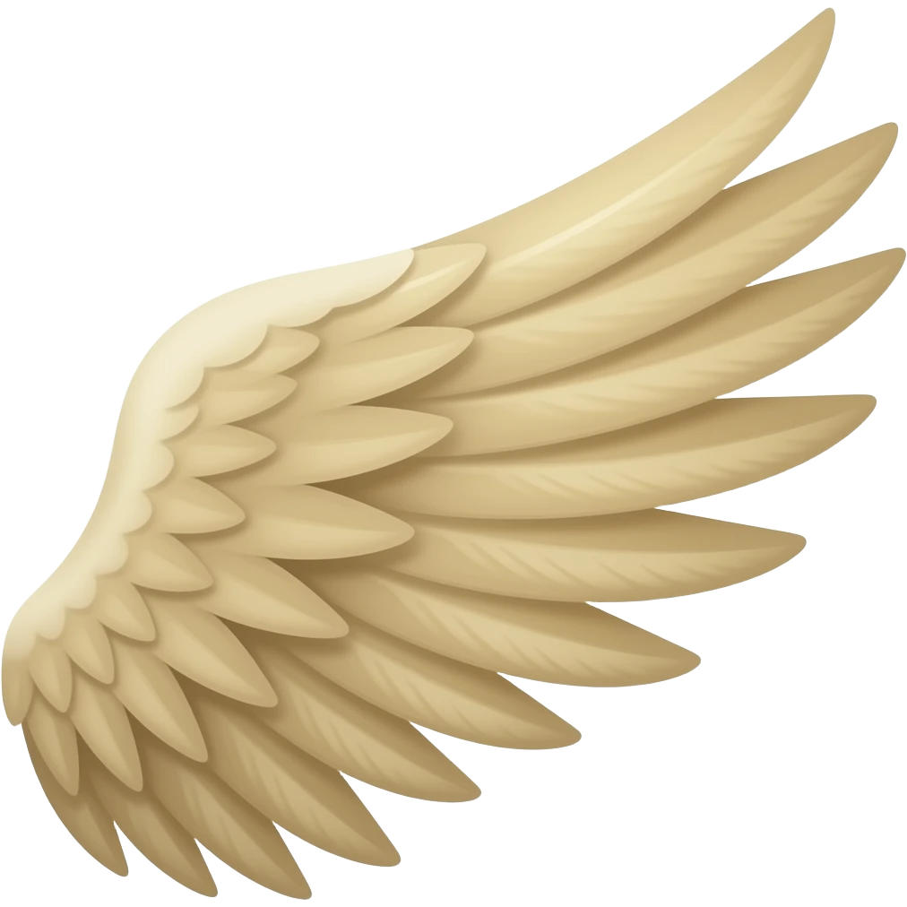 Both side wings emoji