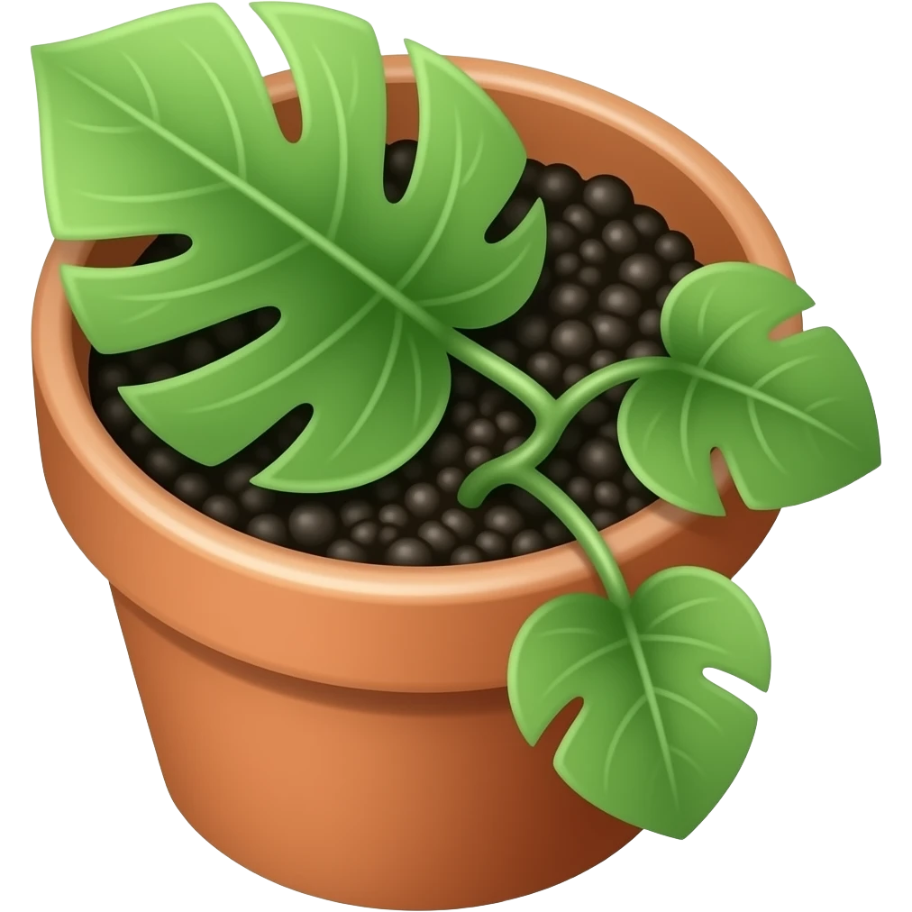 a cute pot with same black dirt and a big vine with more leaves . no fruits in it, show the dirt and vine  from the hight point of view and still see the pot emoji