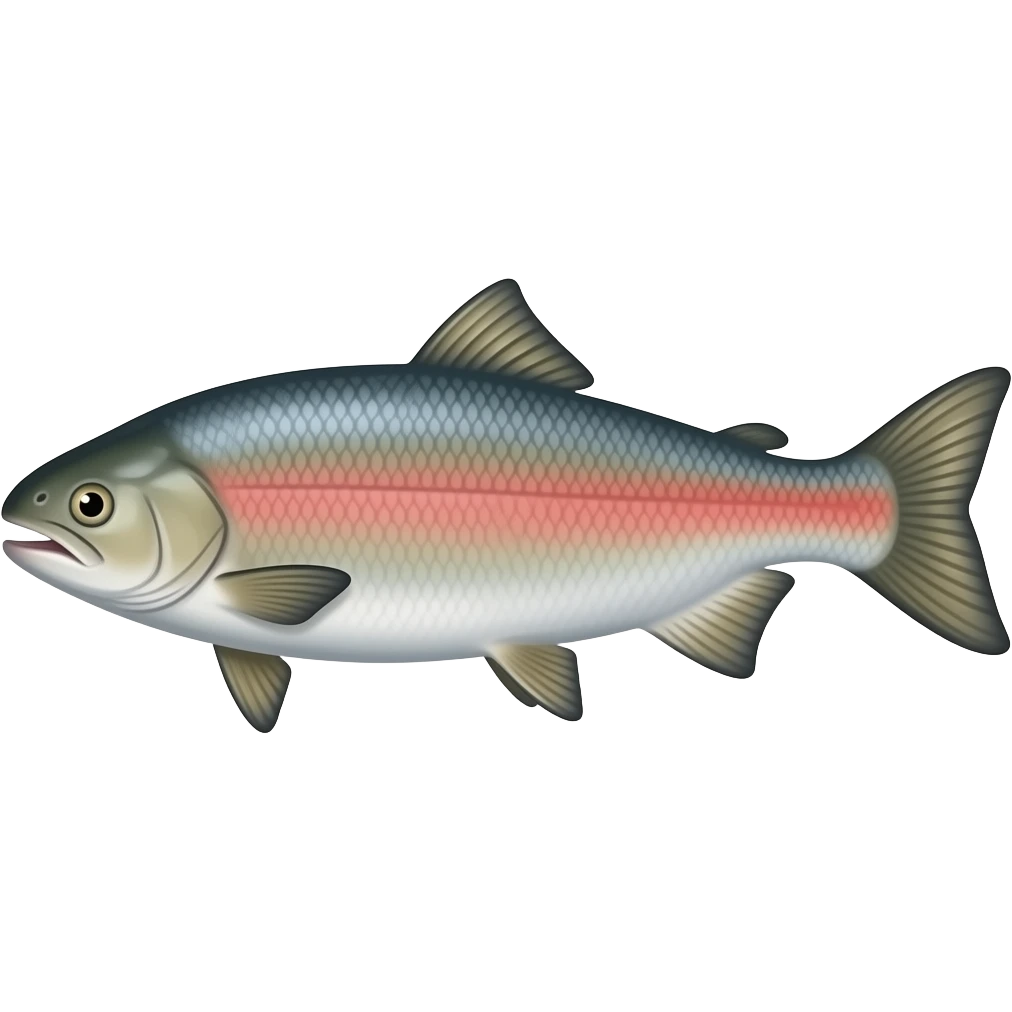 SALMON emoji