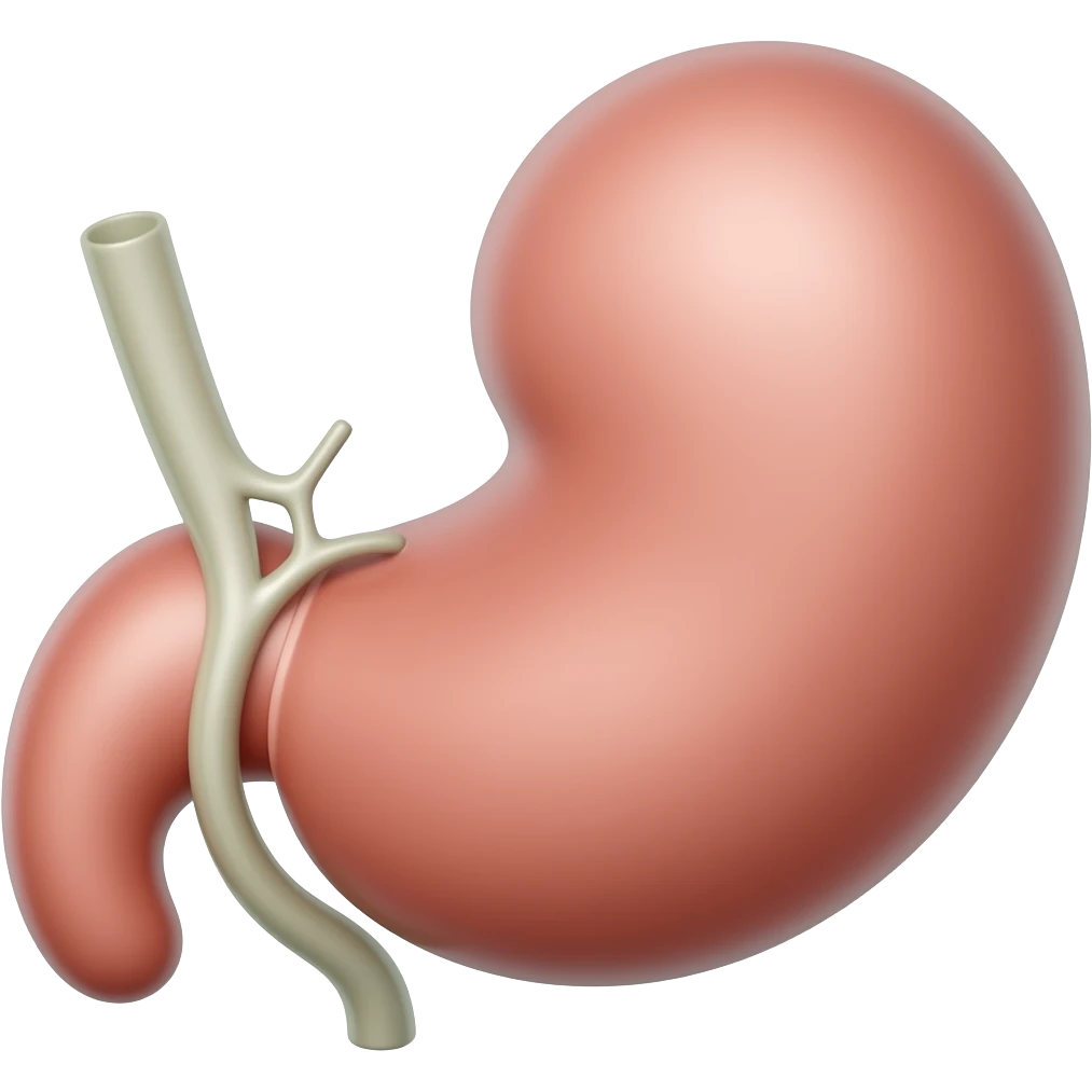 gall bladder organ emoji