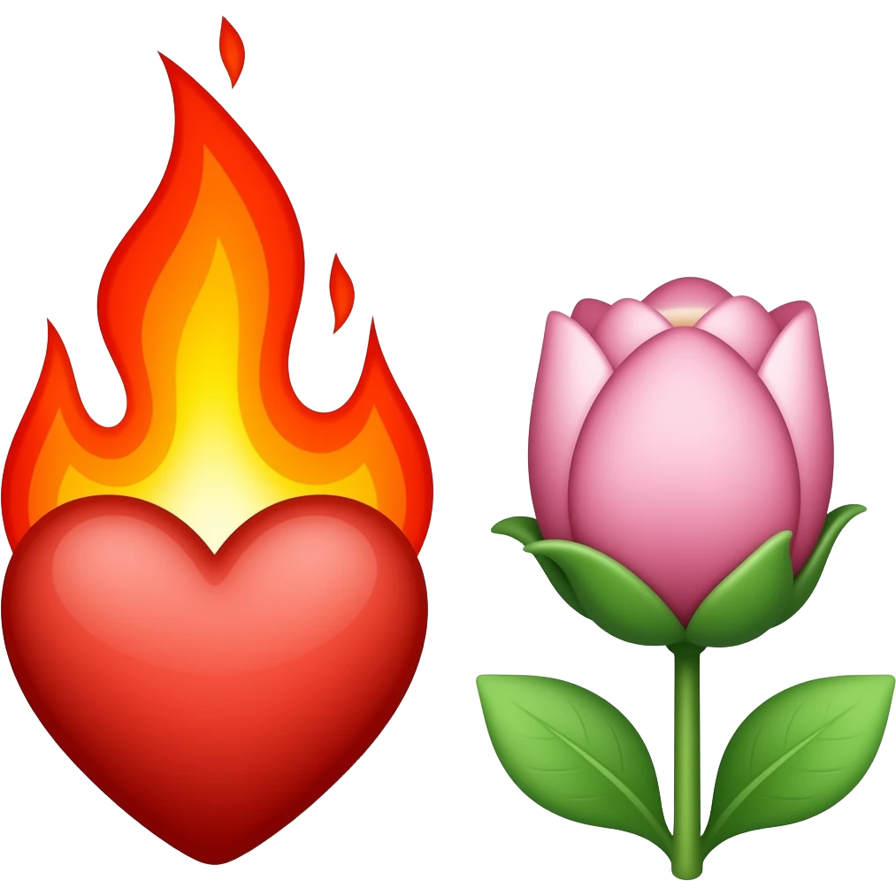 🌺❤️‍🔥 emoji