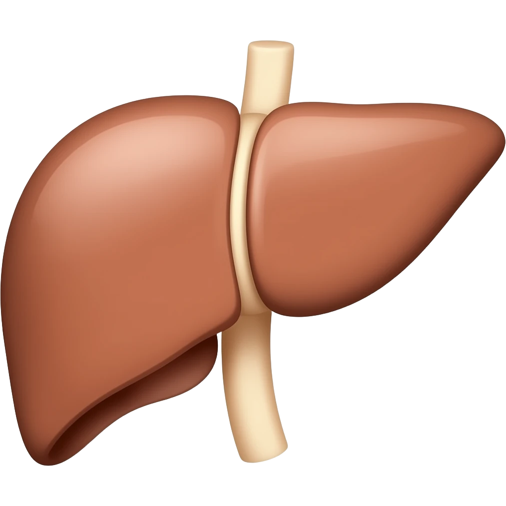 Liver emoji