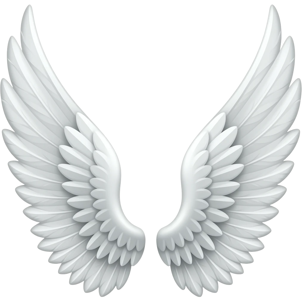 Wing left and right emoji