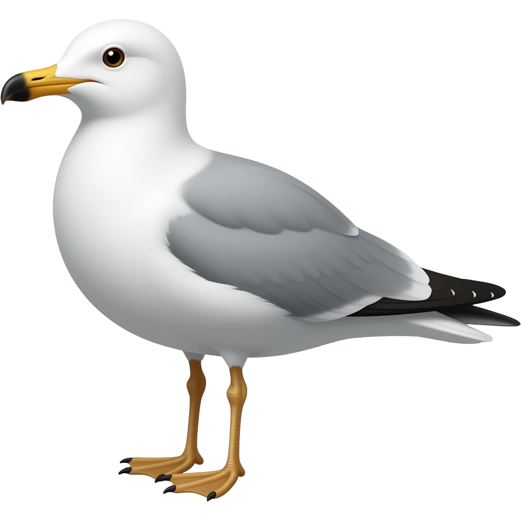カモメ emoji