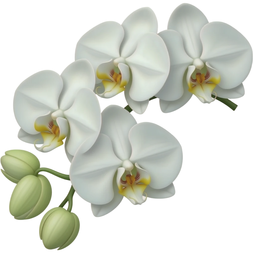 White orchids emoji