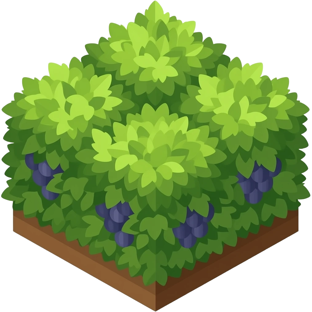 The grapevine bush grows on the ground top view isometric no background ...