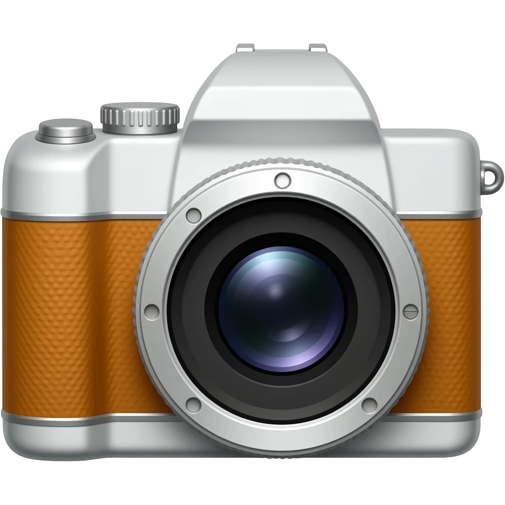 disposable camera emoji