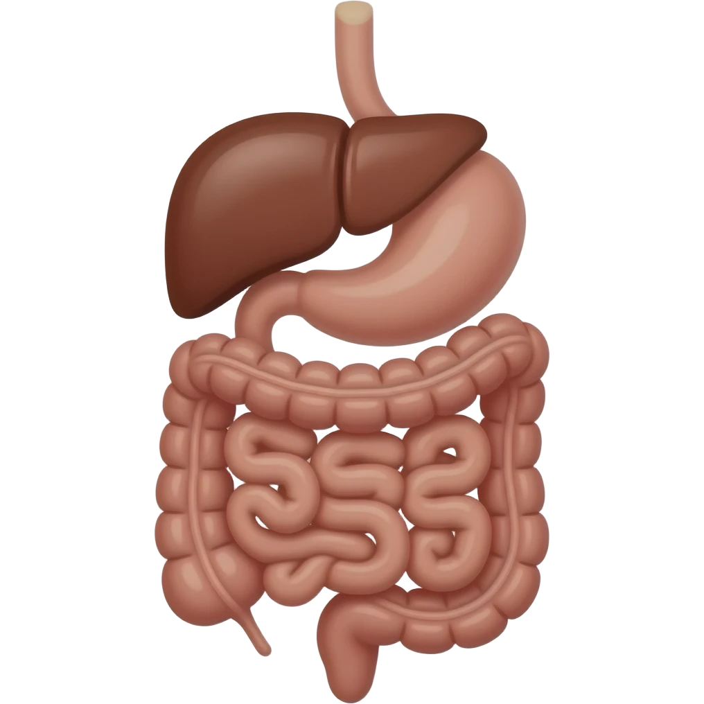aparato digestivo (sin el higado, solo estomago e intestino) emoji