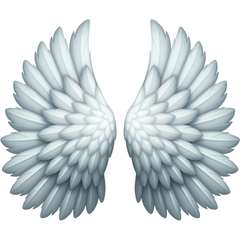 🪽 both side wings emoji