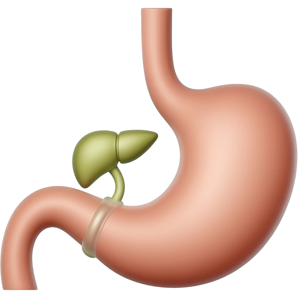 Gastrointestinal organs with stomach gallbladder liver emoji