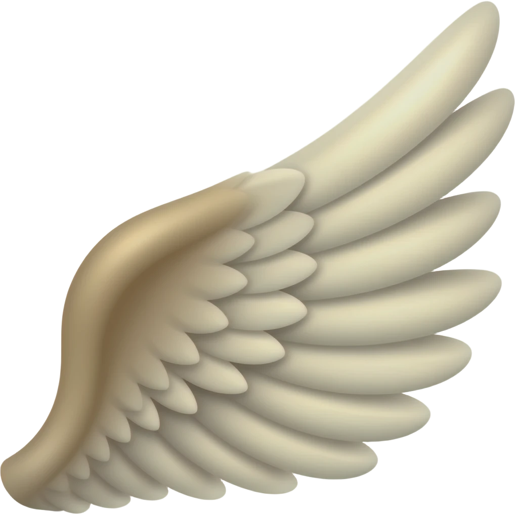 wings emoji