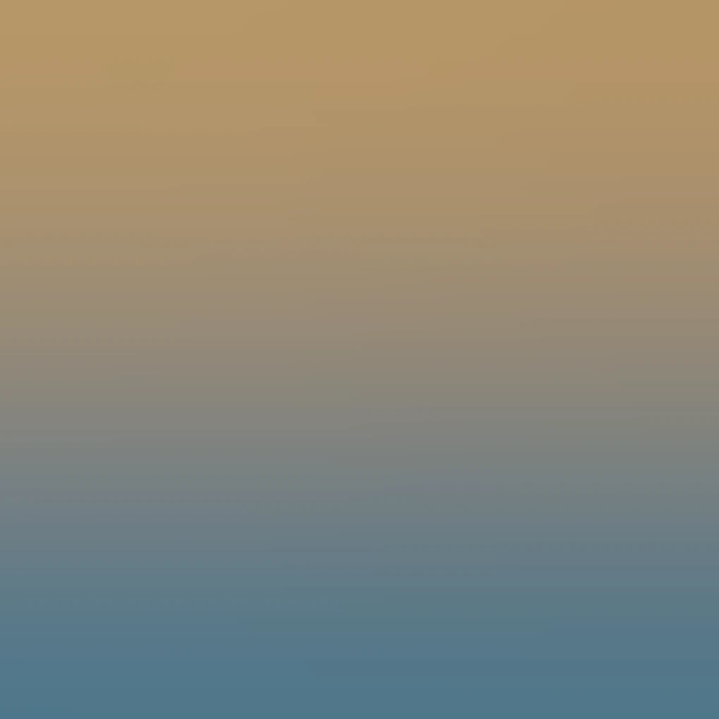 grocery store narrow rectangle blue carboard box of uncooked fettuccine ...