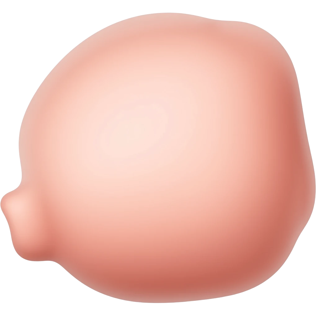 Muschi emoji
