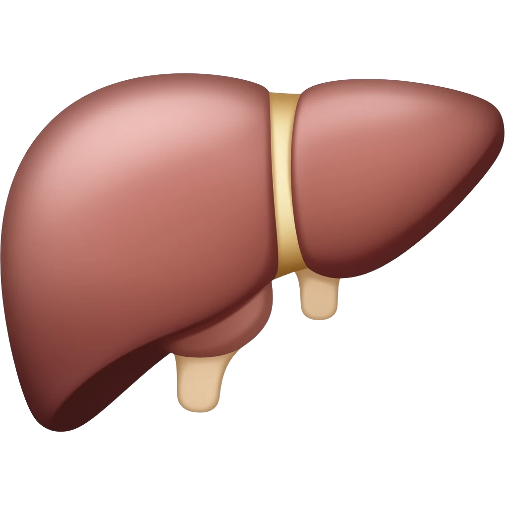 Liver emoji