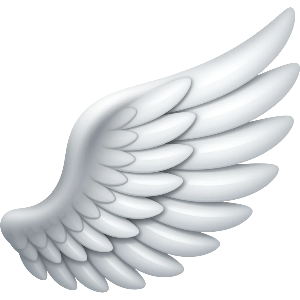 Are you dumb make the wing NO FUCKING SWITCH THE SIDES emoji left side emoji