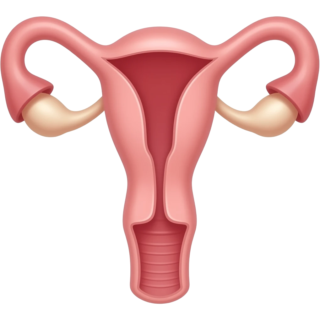 Vagina with penis emoji