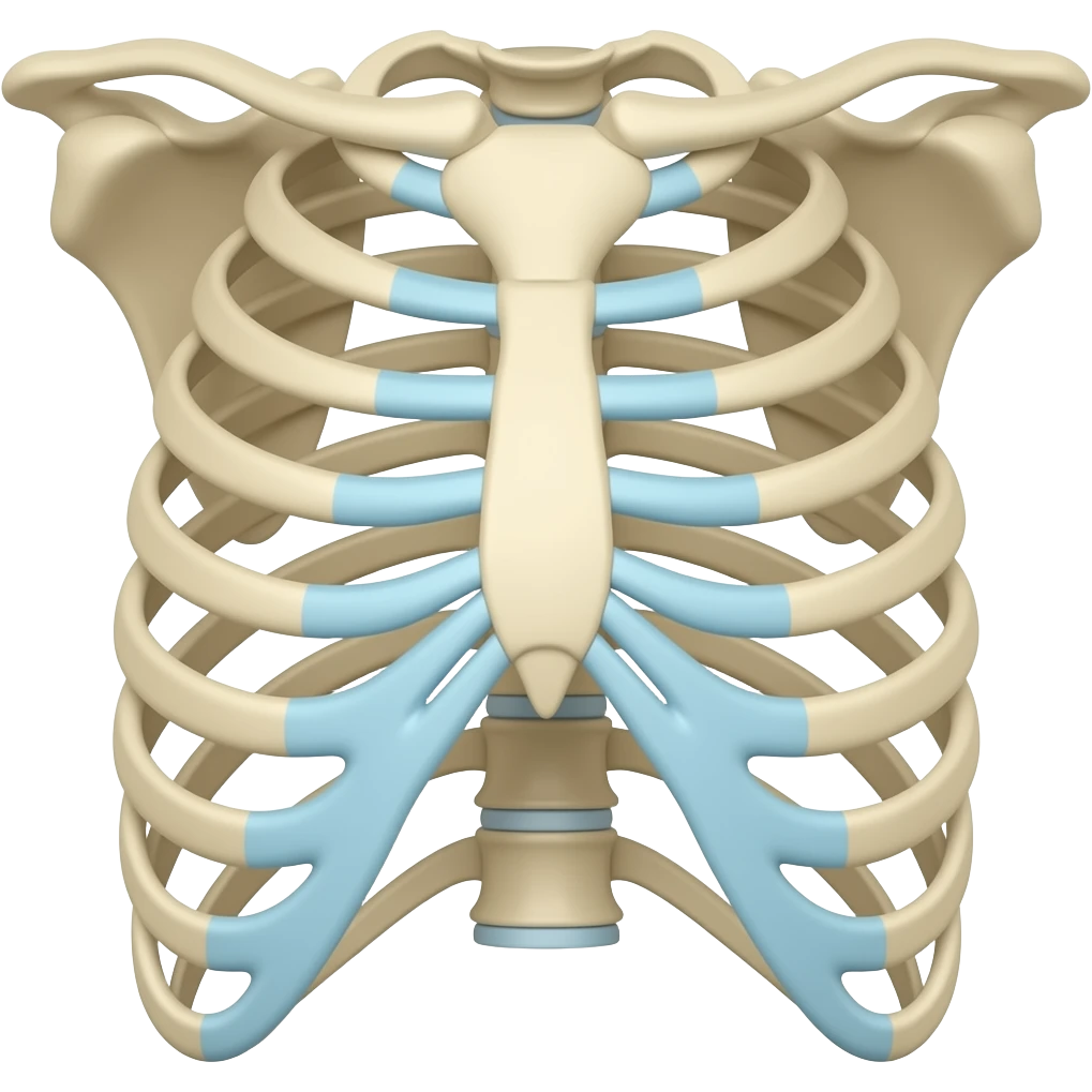 A rib cage emoji | AI Emoji Generator