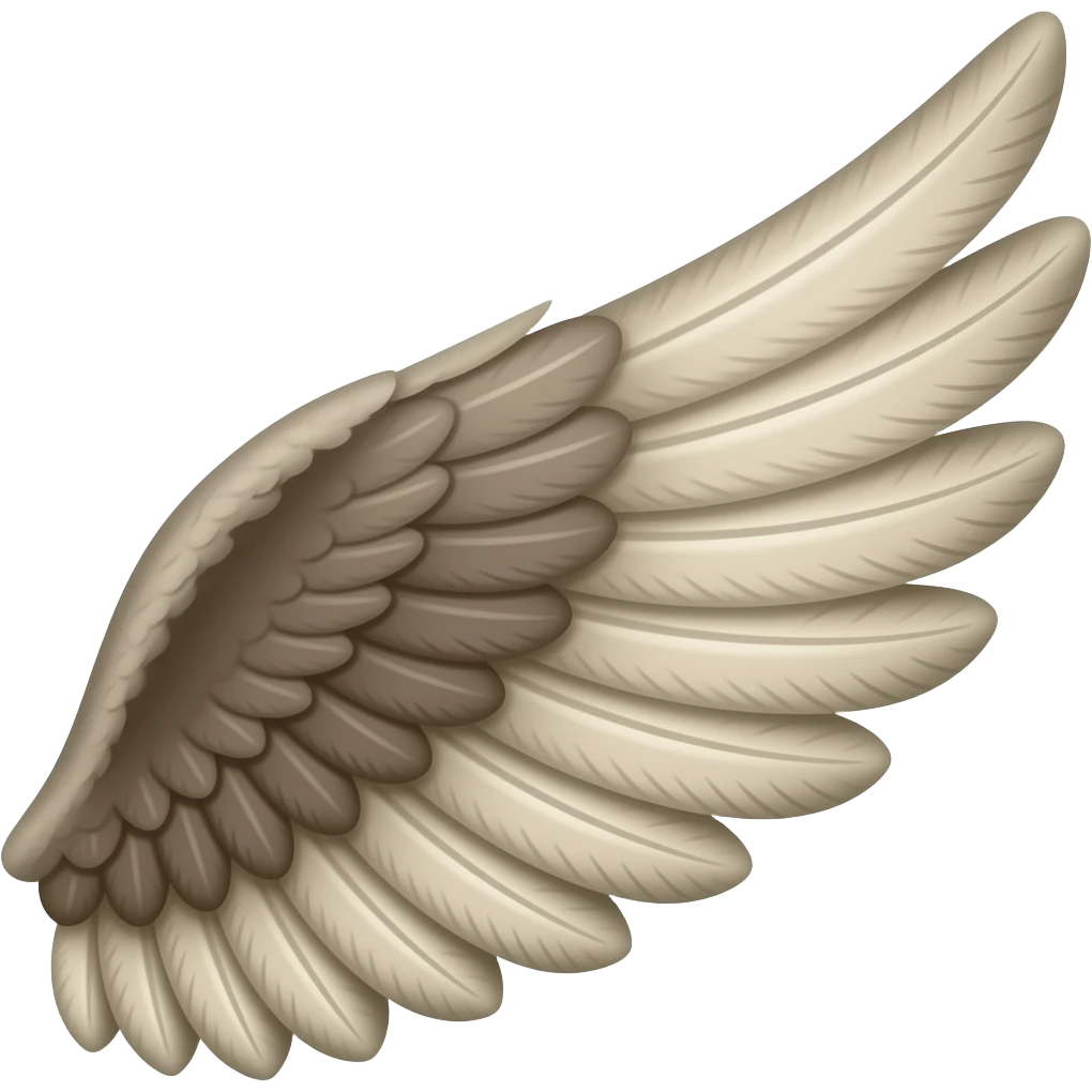wing emoji