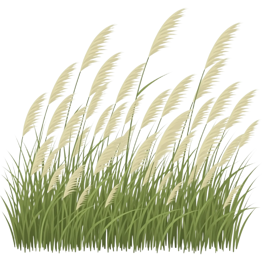 wind emoji