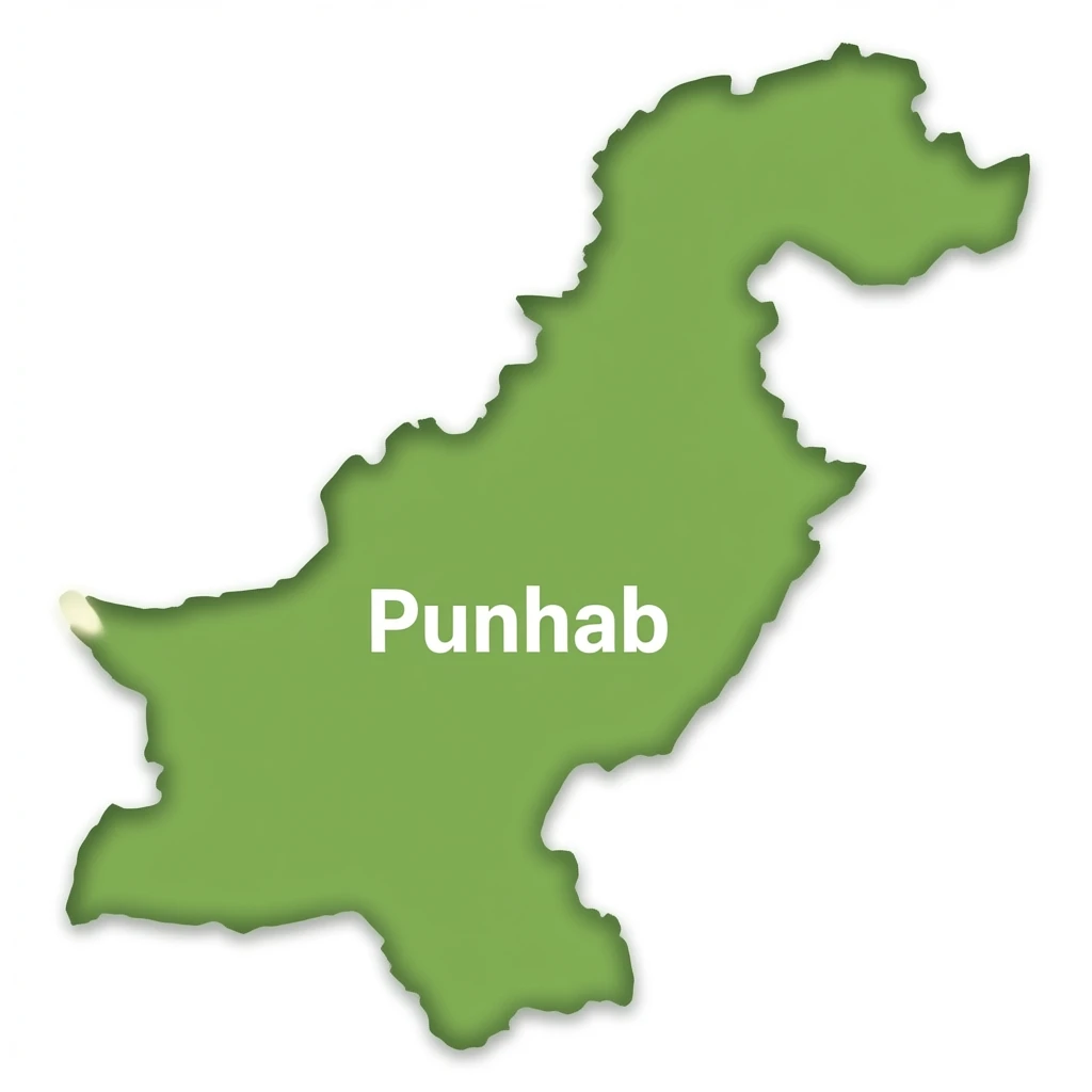 Map of Punjab with text on it punhab emoji