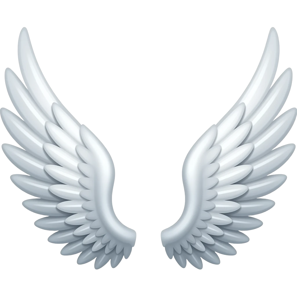 Wings both side emoji
