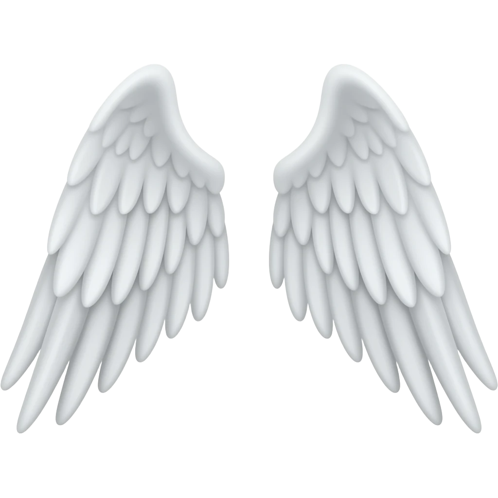 wings emoji