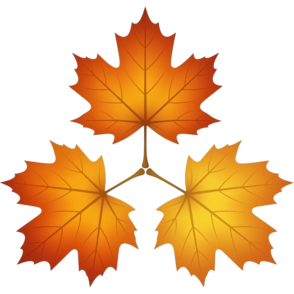 three maple leaves in shades of orange and yellow, arranged in a triangular formation against a white background. The leaves have prominent veins and a glossy finish, with their stems meeting at a central point. emoji