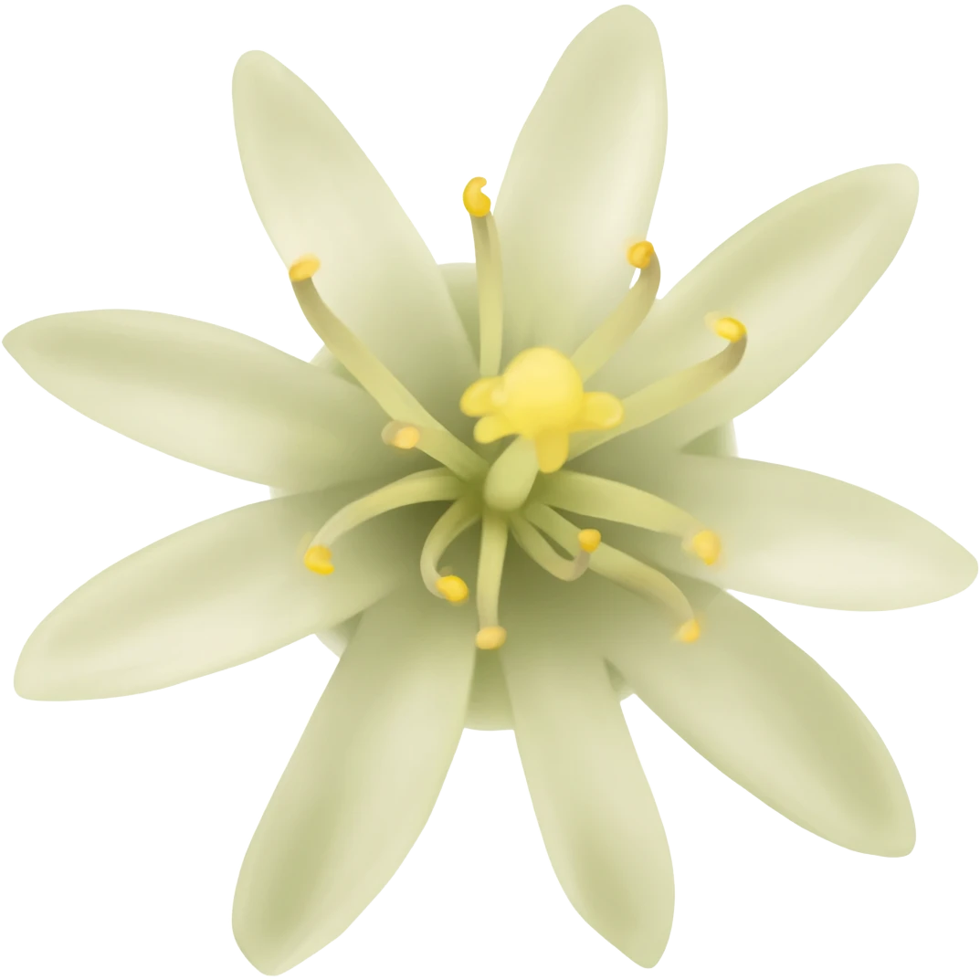 neroli emoji