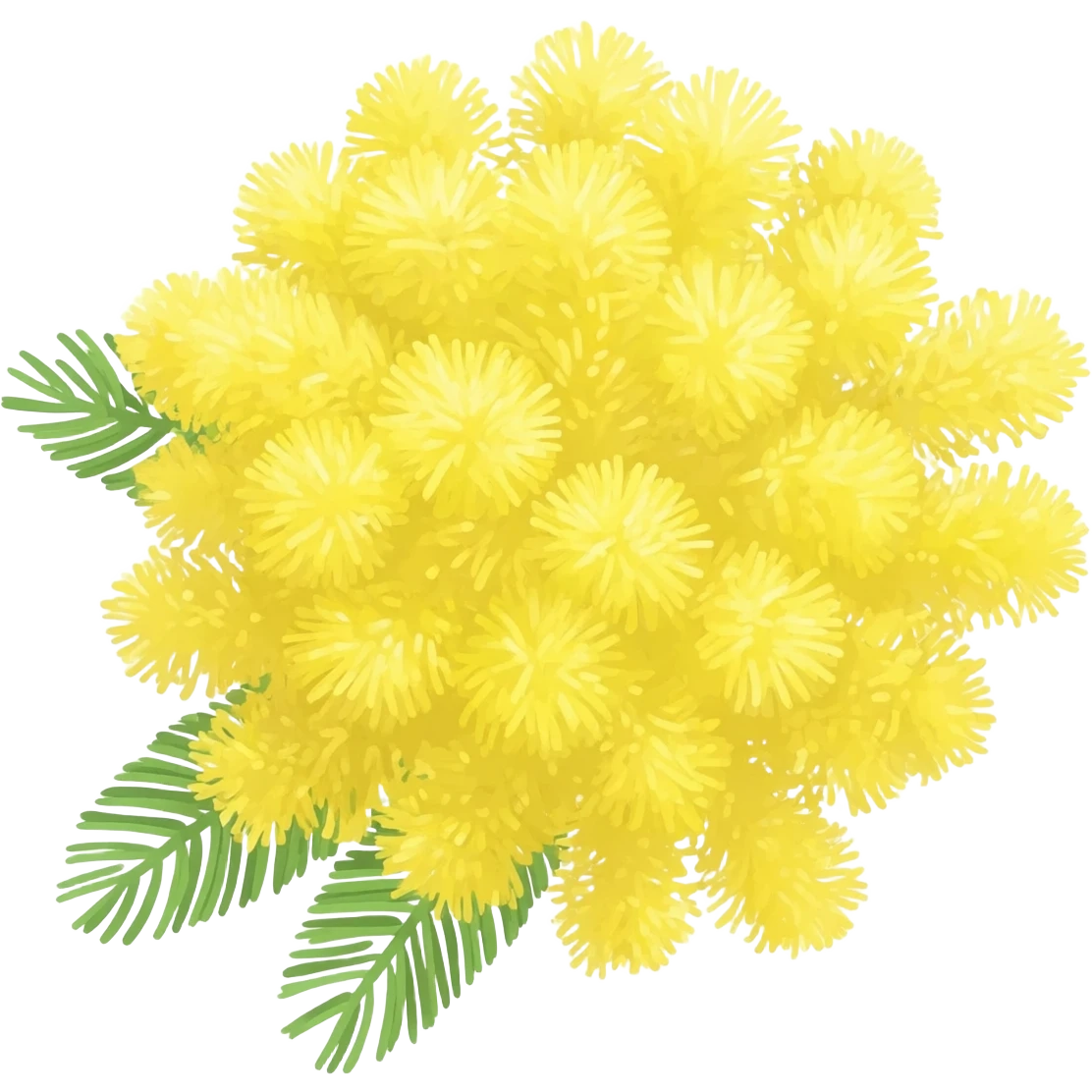 Mimosa emoji
