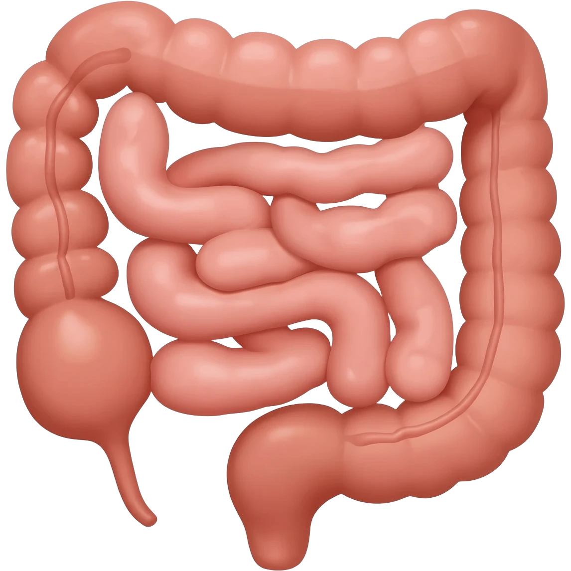Intestinos emoji