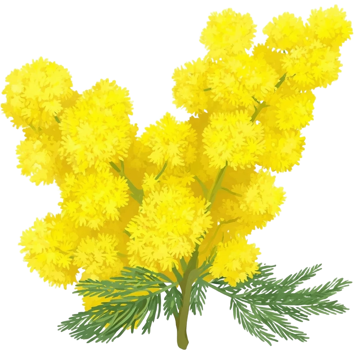 mimosa emoji