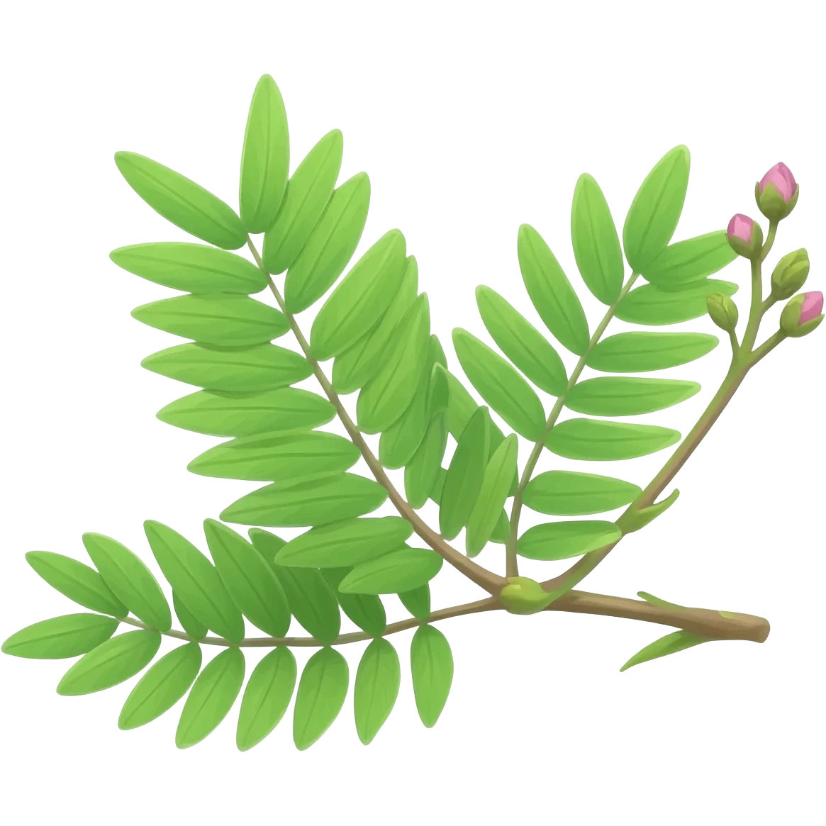 Mimose emoji