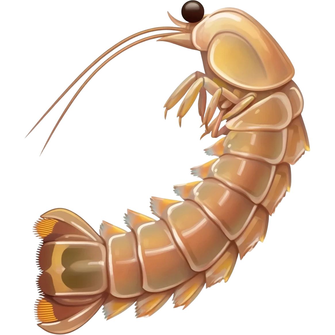 Mantis Shrimp emoji