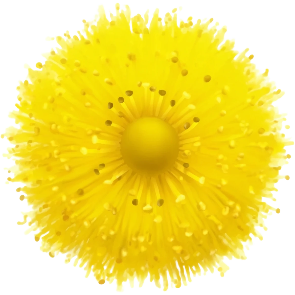 Mimosa emoji