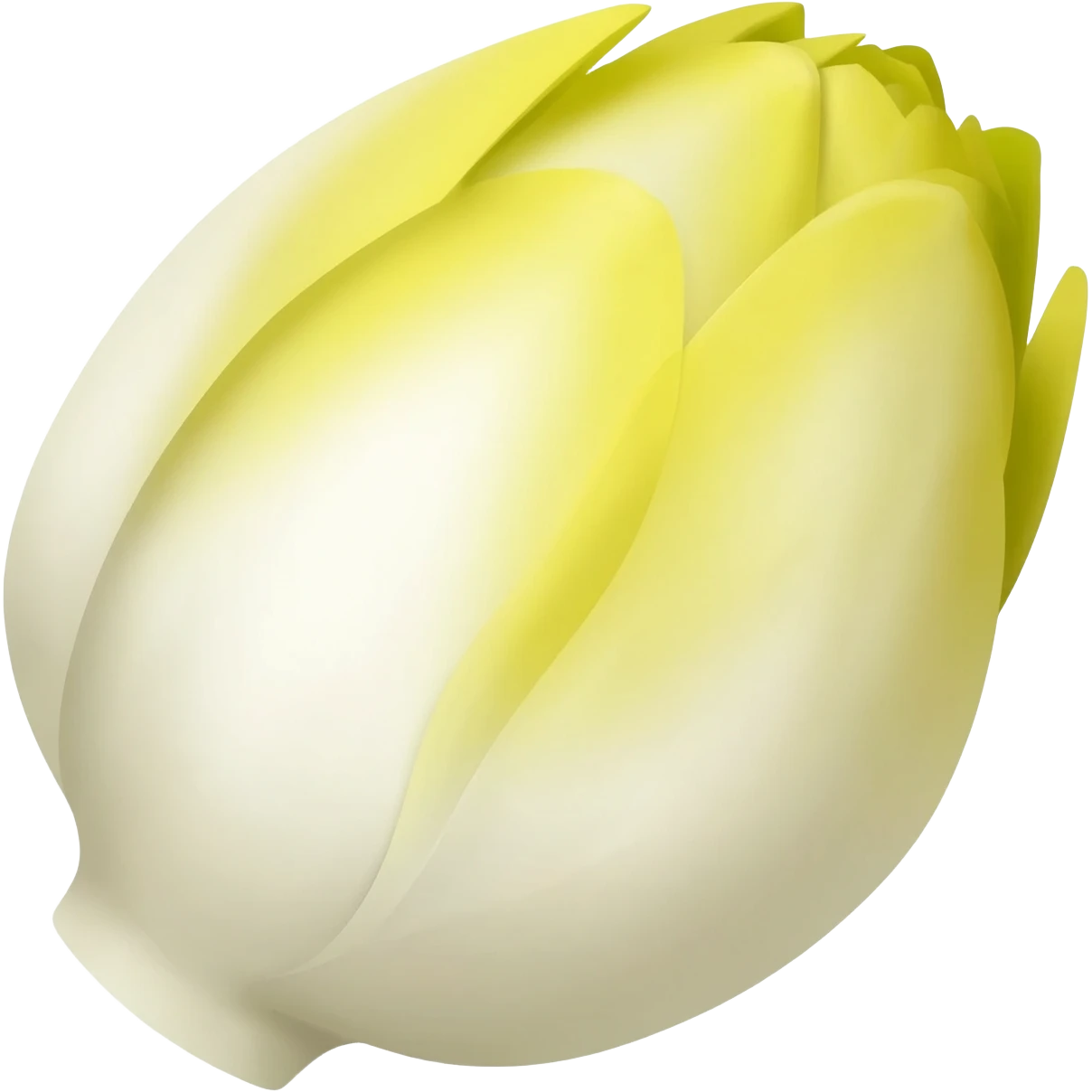 Endive emoji