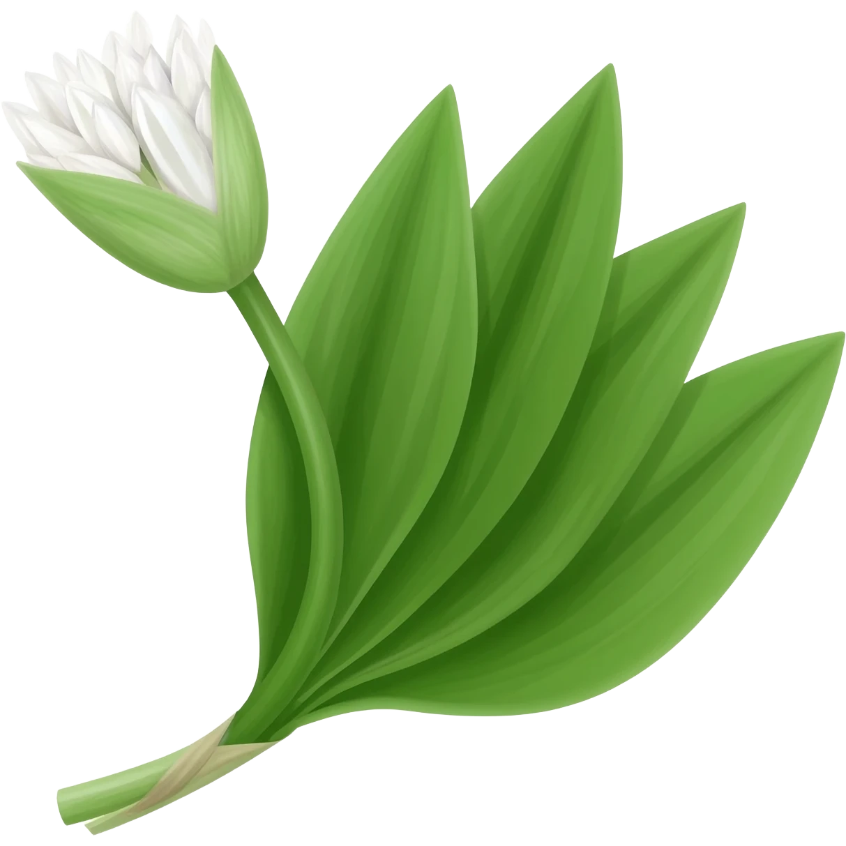 wild garlic emoji