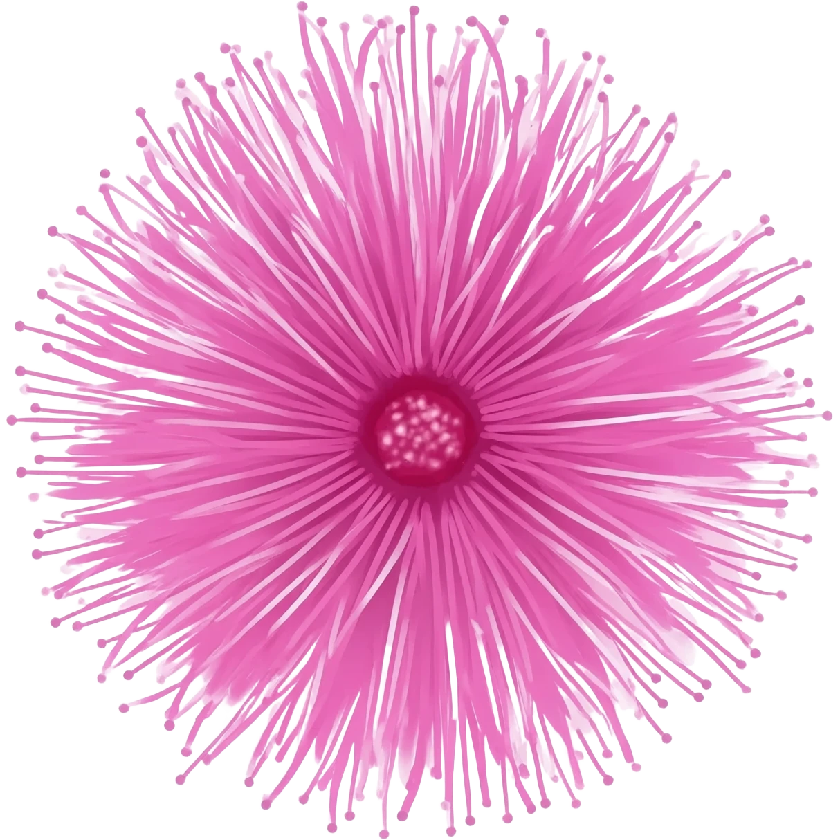 Mimosa emoji